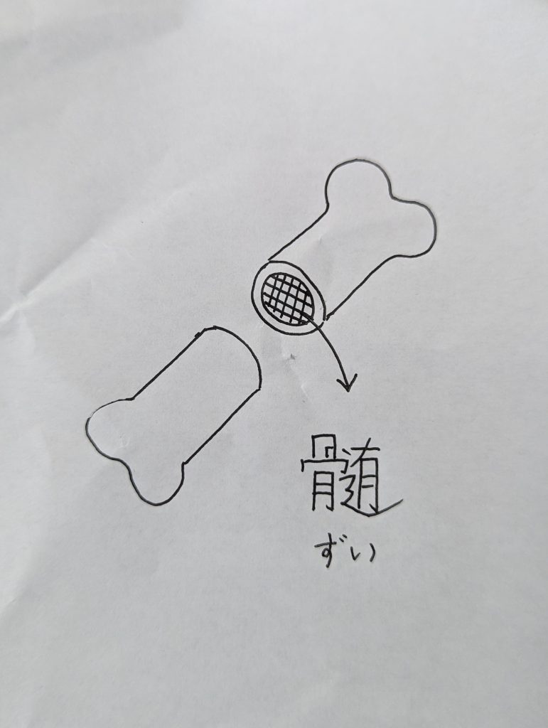 1000002244-771x1024 濃厚豚骨スープの作り方