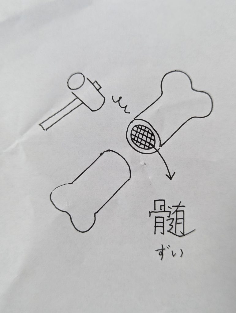 1000002245-771x1024 濃厚豚骨スープの作り方